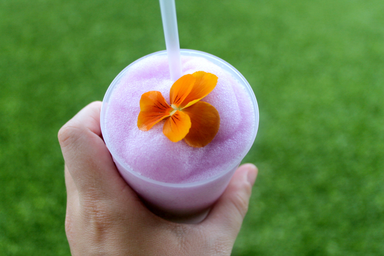 Cocktails in Teacups Disney Life Travel Parenting Blog Walt Disney World Resort Epcot Flower & Garden Festival 2016 Violet Lemonade