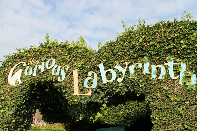 Cocktails in Teacups Disney Life Travel Parenting Blog 5 Must Dos at Disneyland Paris Alice's Curious Labyrinth
